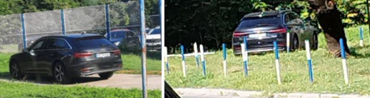 True crime: Car theft