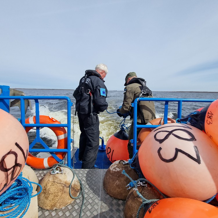 Estonia - setting buoys