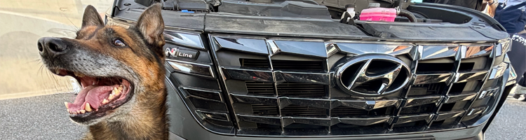 Frontex and partners train officers to spot hidden compartments in vehicles