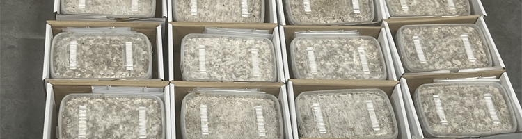 Ketamine among more than 12 kg of drugs seized at Madrid airport in operation co-led by Frontex