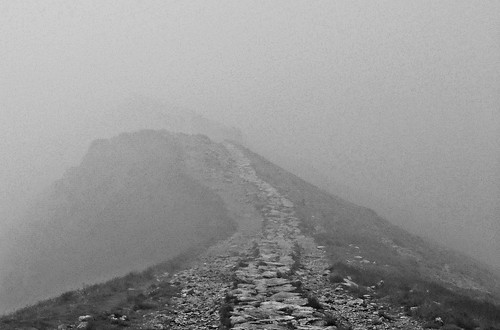 Mateusz Piatek, Recognition