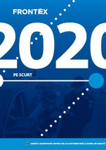 2020 pe scurt