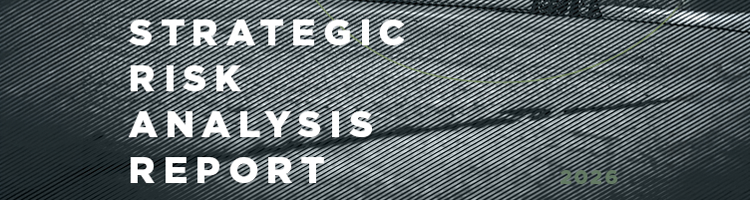 Strategic Risk Analysis Report
